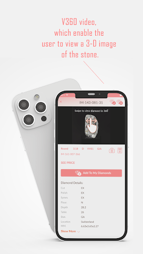 EcoDiam-LGD Screen 2