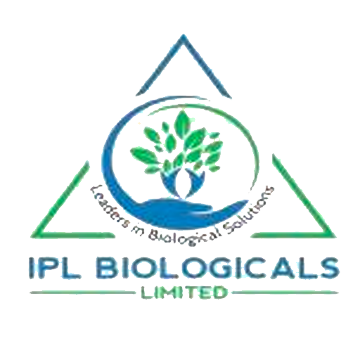 IPL QR Code logo