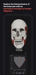 Skull, Teeth & TMJ Unknown