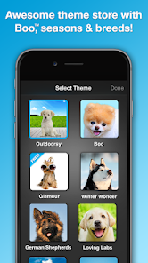 Weather Puppy - App & Widget Weather Forecast  screenshots 6