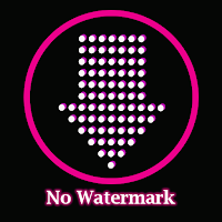 TikLoader Download TikTok Videos without Watermark