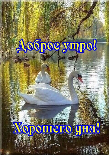 Доброе утро-открытки