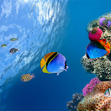 Ocean Aquarium 3D Free LWP icon