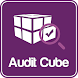 Audit Cube