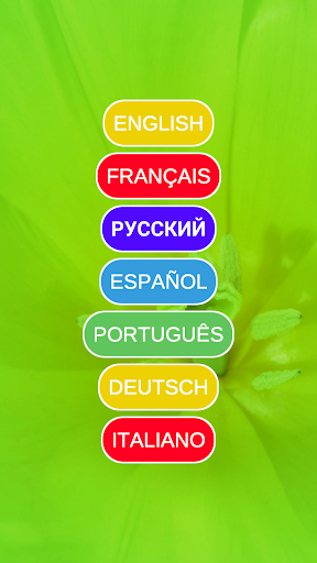 Anteprima dell'app