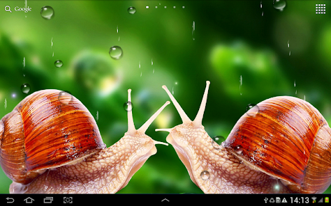 Приложения В Google Play – Дождь Живые Обои