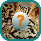 Guess the animal. Quiz icon