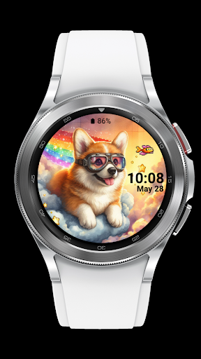 corgi dog_003 screenshot 4