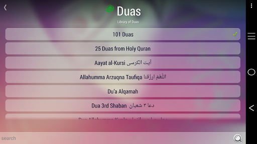 ShiaLink screenshot 10