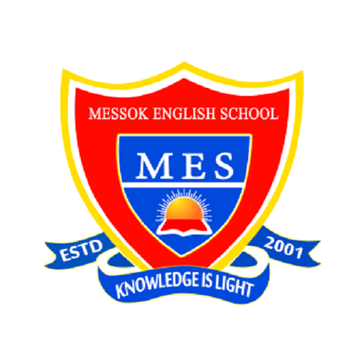 MESSOK MEMORIAL ST. THOMAS SCL logo