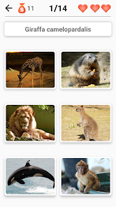 Captura 2 Animales: mamíferos, pájaros! android
