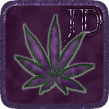 Purple Leaf Marijuana icon