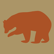 L’ours et l’art préhistorique