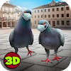 City Bird Pigeon Simulator 3D icon