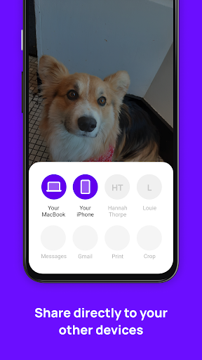 Blip (File Transfer) Screen 2
