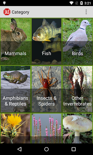 Android application Report Invasives screenshort