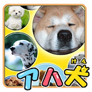 Brain Training-Aha dog picture 1 Icon