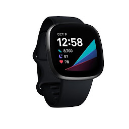Fitbit Sense guide: Download & Review
