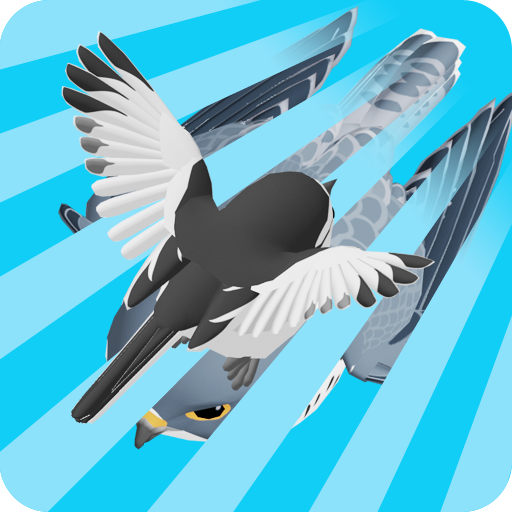 セキレイ ラン Apps En Google Play