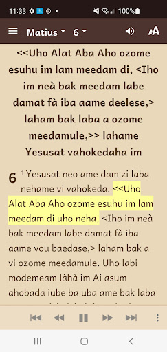 Bauzi Bible Screen 3