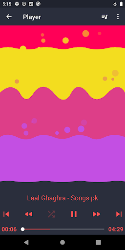 Media File Player Screen 3