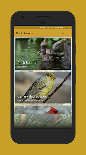 Android application Duck Sounds screenshort