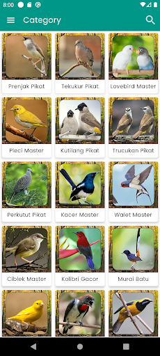 Suara Burung Perkutut Pikat Screen 3