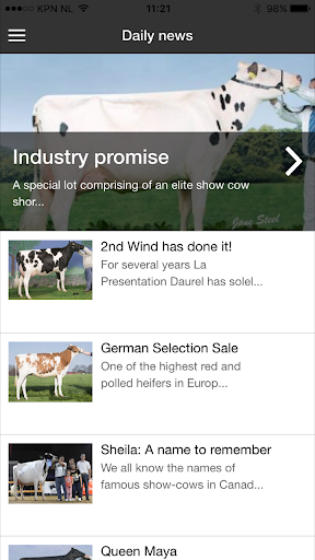 Holstein International Screen 3