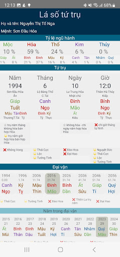 Lá số Tứ Trụ - Tử Bình Screen 3