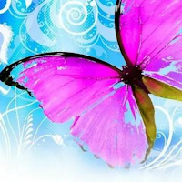 pretty butterflies wallpaper