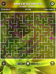 Mazescapes Amazing Maze