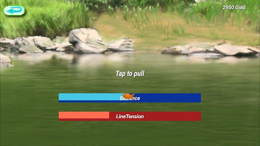 Freshwater Aquarium Screen 3