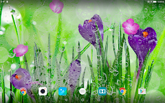 screenshot of Spring Flower Live Wallpaper