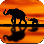 Cover Image of Download Elephant Wallpaper  APK