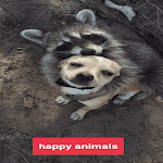 Cover Image of Tải xuống dog happy : cat happy :animals  APK