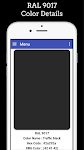 screenshot of Paint RAL No