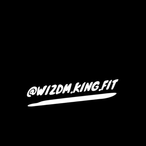 wizdmkingfit logo