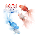 Koi Fish Theme icon