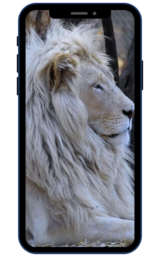 White Lion Wallpapers Screen 3
