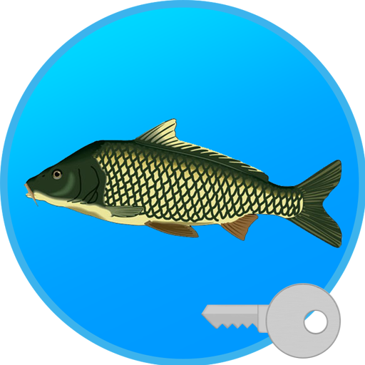 Реальная Рыбалка (ключ)