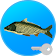 True Fishing (key). Fishing simulator icon
