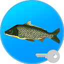 True Fishing (key). Fishing simulator