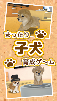 子犬のかわいい育成ゲーム - 癒しの犬育成アプリのおすすめ画像2