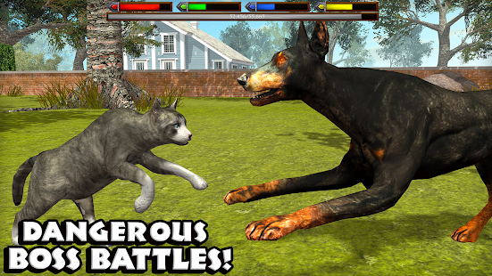Ultimate Cat Simulator Screenshot