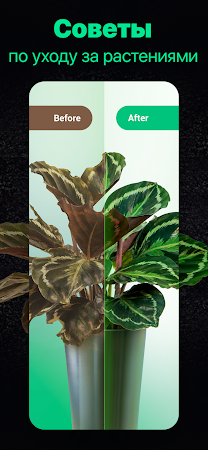Game screenshot Plantum・Распознавание растений hack