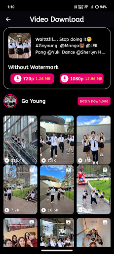 Video Downloader for TikToks
