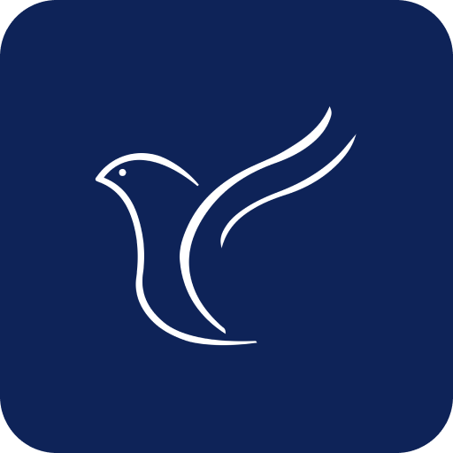 Apostólica Vida Nova logo