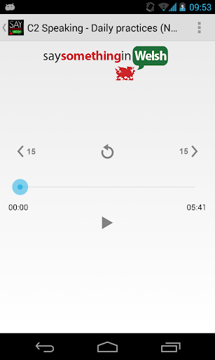 Say Something in Welsh Screen 2