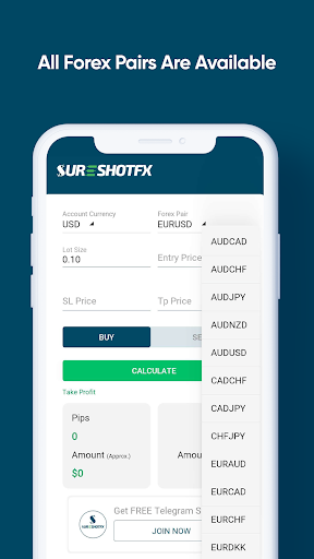 SureShotFX - Pip Calculator Screen 2