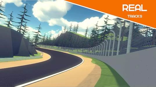 Sunset Racers - 3D Car Racing